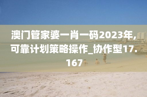 澳门管家婆一肖一码2023年,可靠计划策略操作_协作型17.167