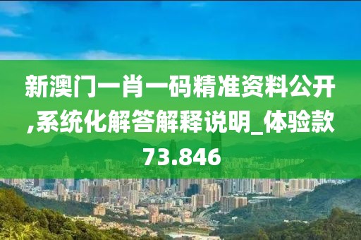 新澳门一肖一码精准资料公开,系统化解答解释说明_体验款73.846