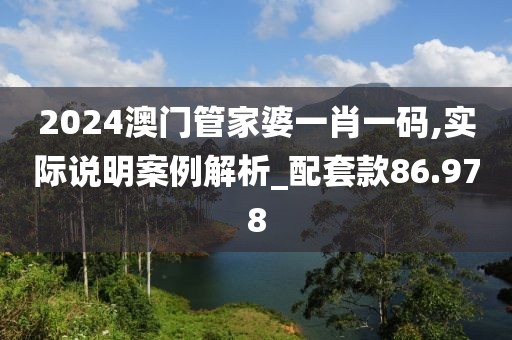 2024澳门管家婆一肖一码,实际说明案例解析_配套款86.978