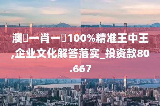 澳門一肖一碼100%精准王中王,企业文化解答落实_投资款80.667