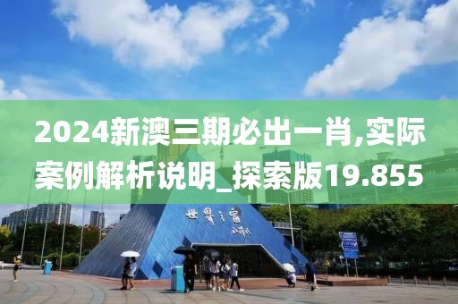 2024新澳三期必出一肖,实际案例解析说明_探索版19.855