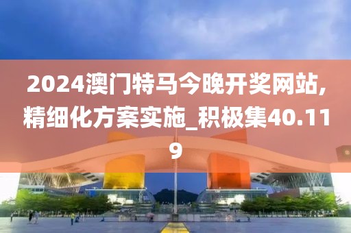 2024澳门特马今晚开奖网站,精细化方案实施_积极集40.119