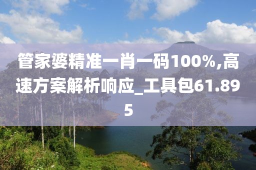 管家婆精准一肖一码100%,高速方案解析响应_工具包61.895