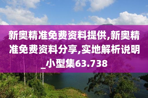 新奥精准免费资料提供,新奥精准免费资料分享,实地解析说明_小型集63.738