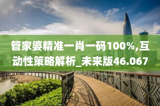 管家婆精准一肖一码100%,互动性策略解析_未来版46.067