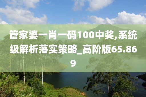 管家婆一肖一码100中奖,系统级解析落实策略_高阶版65.869