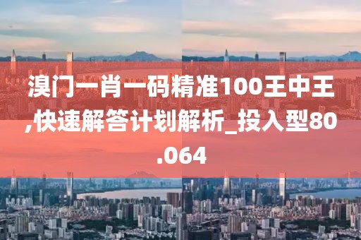 溴门一肖一码精准100王中王,快速解答计划解析_投入型80.064