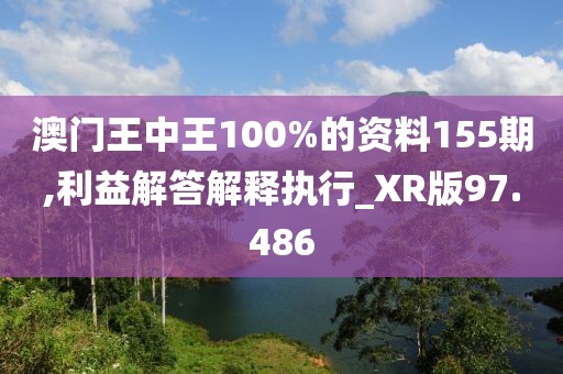 澳门王中王100%的资料155期,利益解答解释执行_XR版97.486