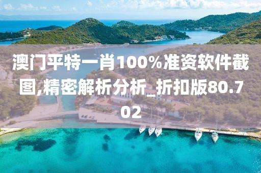 澳门平特一肖100%准资软件截图,精密解析分析_折扣版80.702