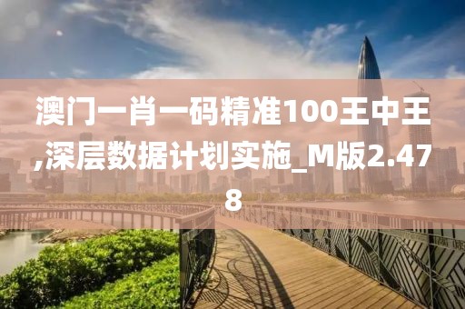 澳门一肖一码精准100王中王,深层数据计划实施_M版2.478