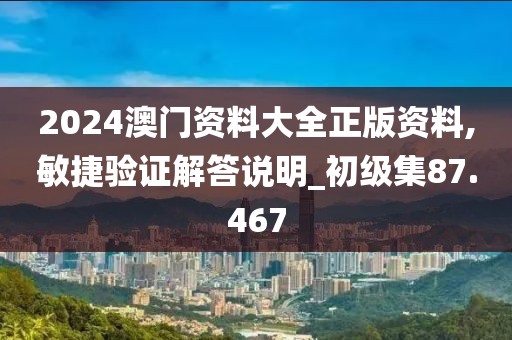 2024澳门资料大全正版资料,敏捷验证解答说明_初级集87.467