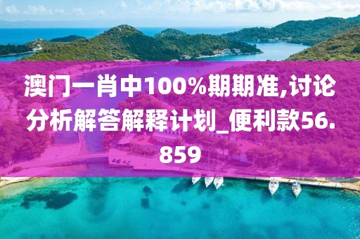 澳门一肖中100%期期准,讨论分析解答解释计划_便利款56.859