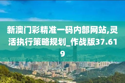 新澳门彩精准一码内部网站,灵活执行策略规划_作战版37.619