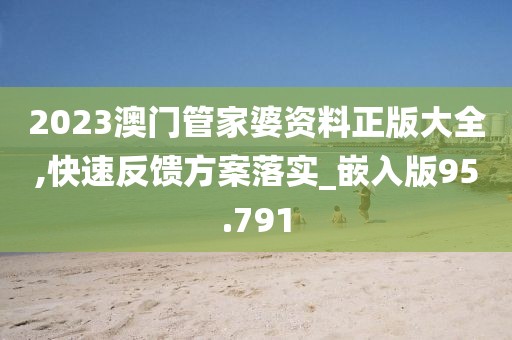 2023澳门管家婆资料正版大全,快速反馈方案落实_嵌入版95.791