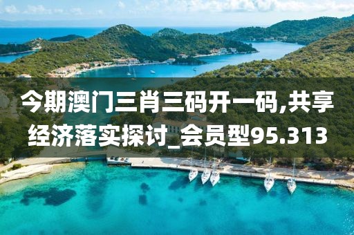 今期澳门三肖三码开一码,共享经济落实探讨_会员型95.313