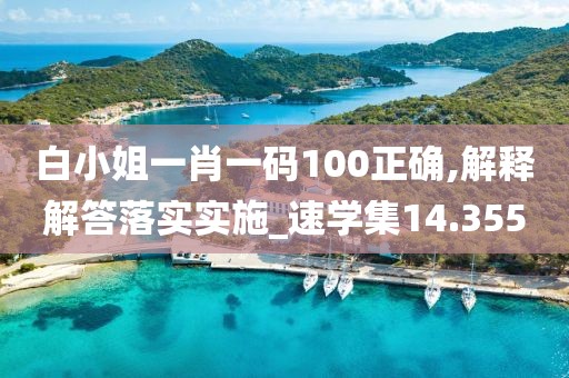 白小姐一肖一码100正确,解释解答落实实施_速学集14.355