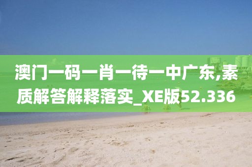 澳门一码一肖一待一中广东,素质解答解释落实_XE版52.336