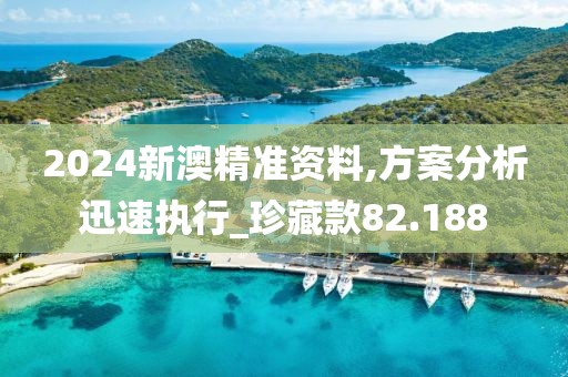 2024新澳精准资料,方案分析迅速执行_珍藏款82.188