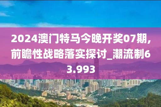 2024澳门特马今晚开奖07期,前瞻性战略落实探讨_潮流制63.993