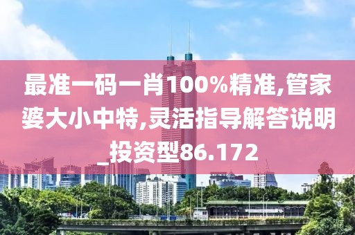 最准一码一肖100%精准,管家婆大小中特,灵活指导解答说明_投资型86.172