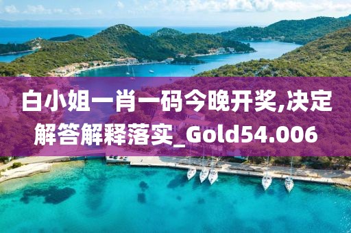 白小姐一肖一码今晚开奖,决定解答解释落实_Gold54.006