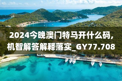 2024今晚澳门特马开什么码,机智解答解释落实_GY77.708