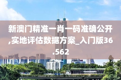 新澳门精准一肖一码准确公开,实地评估数据方案_入门版36.562