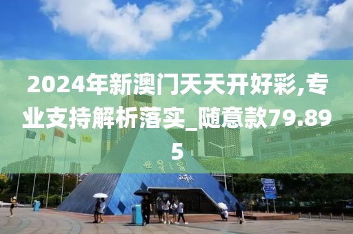 2024年新澳门天天开好彩,专业支持解析落实_随意款79.895