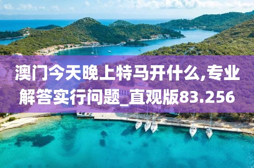 澳门今天晚上特马开什么,专业解答实行问题_直观版83.256