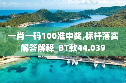 一肖一码100准中奖,标杆落实解答解释_BT款44.039