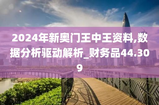 2024年新奥门王中王资料,数据分析驱动解析_财务品44.309