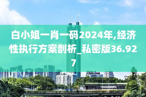 白小姐一肖一码2024年,经济性执行方案剖析_私密版36.927