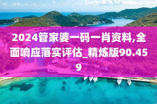 2024管家婆一码一肖资料,全面响应落实评估_精炼版90.459