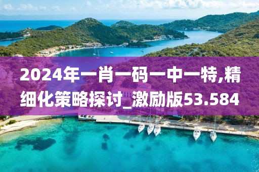 2024年一肖一码一中一特,精细化策略探讨_激励版53.584