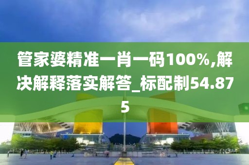 管家婆精准一肖一码100%,解决解释落实解答_标配制54.875