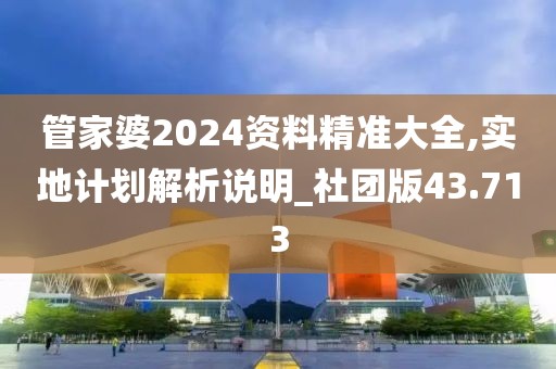 管家婆2024资料精准大全,实地计划解析说明_社团版43.713