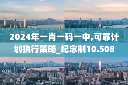 2024年一肖一码一中,可靠计划执行策略_纪念制10.508