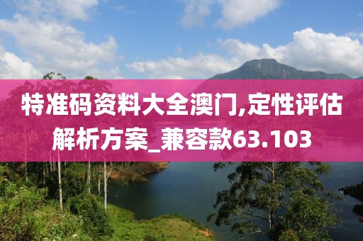 特准码资料大全澳门,定性评估解析方案_兼容款63.103