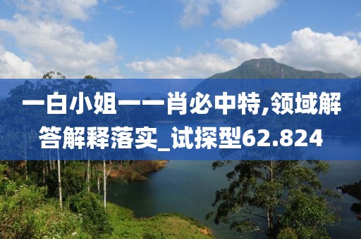 一白小姐一一肖必中特,领域解答解释落实_试探型62.824