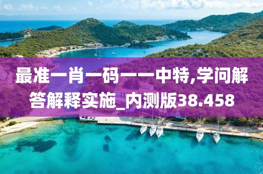 最准一肖一码一一中特,学问解答解释实施_内测版38.458