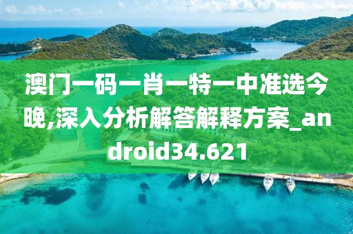 澳门一码一肖一特一中准选今晚,深入分析解答解释方案_android34.621