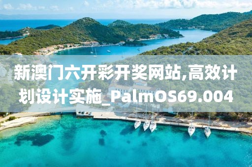 新澳门六开彩开奖网站,高效计划设计实施_PalmOS69.004