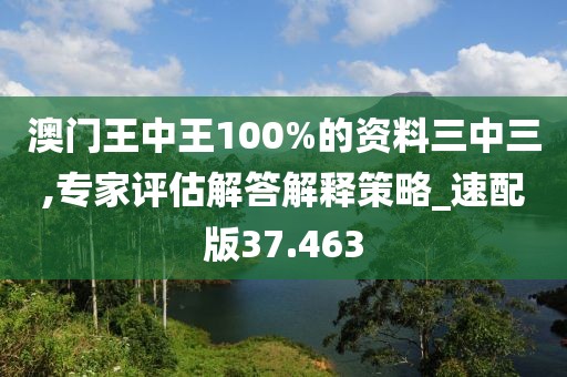 澳门王中王100%的资料三中三,专家评估解答解释策略_速配版37.463