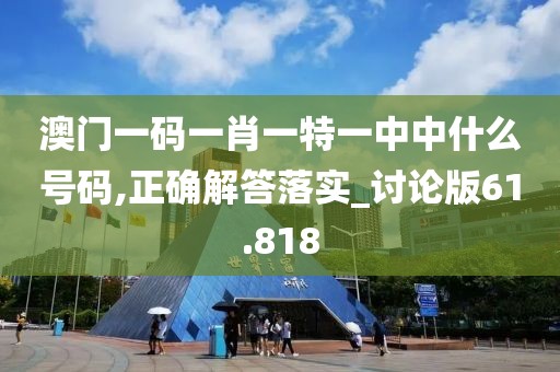 澳门一码一肖一特一中中什么号码,正确解答落实_讨论版61.818