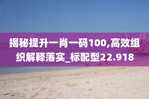 揭秘提升一肖一码100,高效组织解释落实_标配型22.918