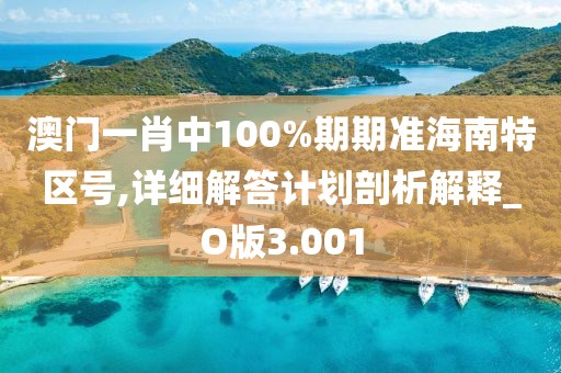 澳门一肖中100%期期准海南特区号,详细解答计划剖析解释_O版3.001