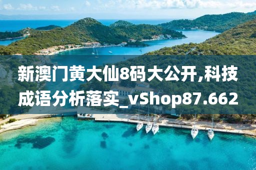 新澳门黄大仙8码大公开,科技成语分析落实_vShop87.662