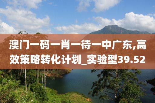 澳门一码一肖一待一中广东,高效策略转化计划_实验型39.52