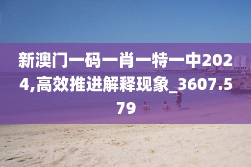 新澳门一码一肖一特一中2024,高效推进解释现象_3607.579