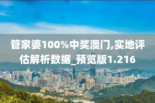 管家婆100%中奖澳门,实地评估解析数据_预览版1.216